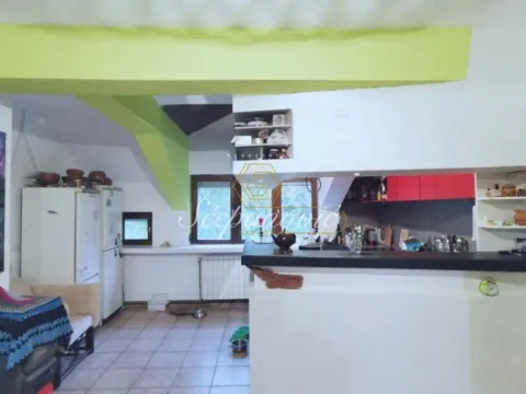 Izdavanje, kuća, 311m², Sremska Kamenica, Petrovaradin - image 8