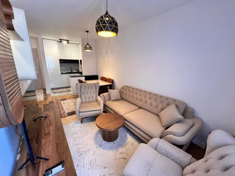 Rent, one bedroom apartment, 42m², Central Point, Podgorica - image 3