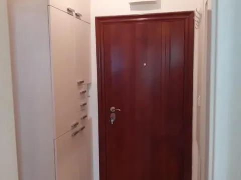 Izdavanje, jednosoban stan, 38m², Nova Detelinara, Novi Sad Sve Podlokacije - image 5