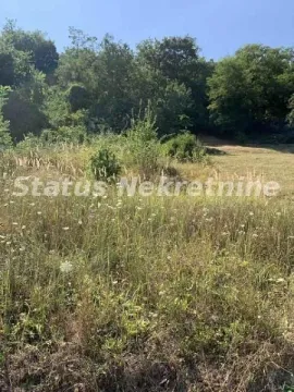 Zarasli travnati teren sa zelenilom i drvećem u pozadini. - image 6