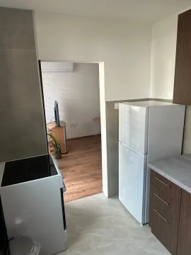 Izdavanje, jednosoban stan, 54m², Centar, Cetinje - image 5