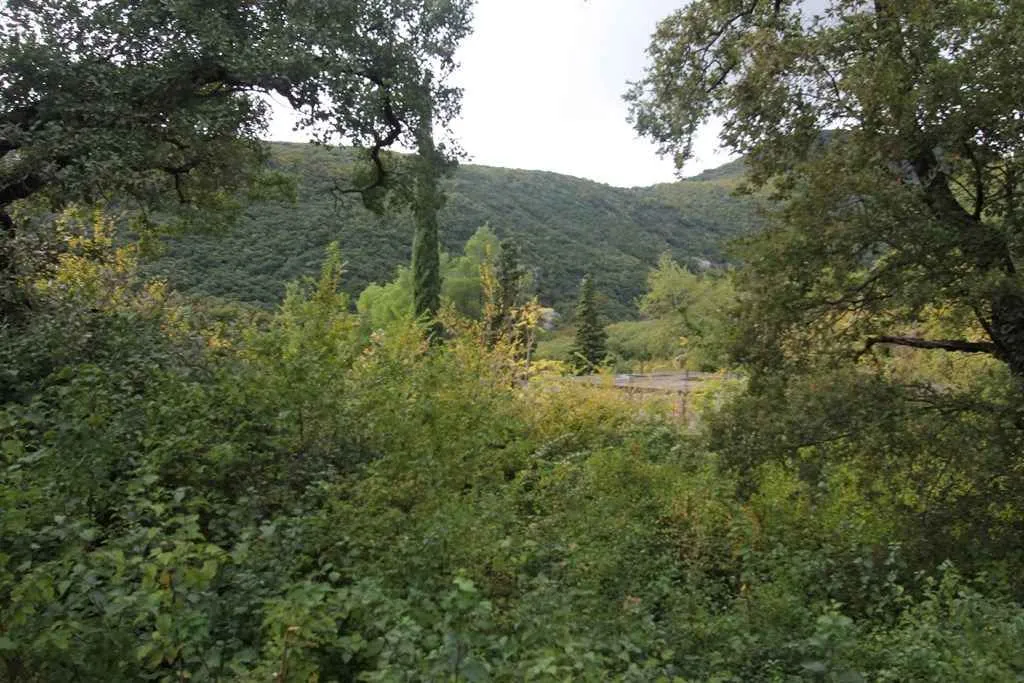 Zeleni plac okružen gustom vegetacijom i drvećem.