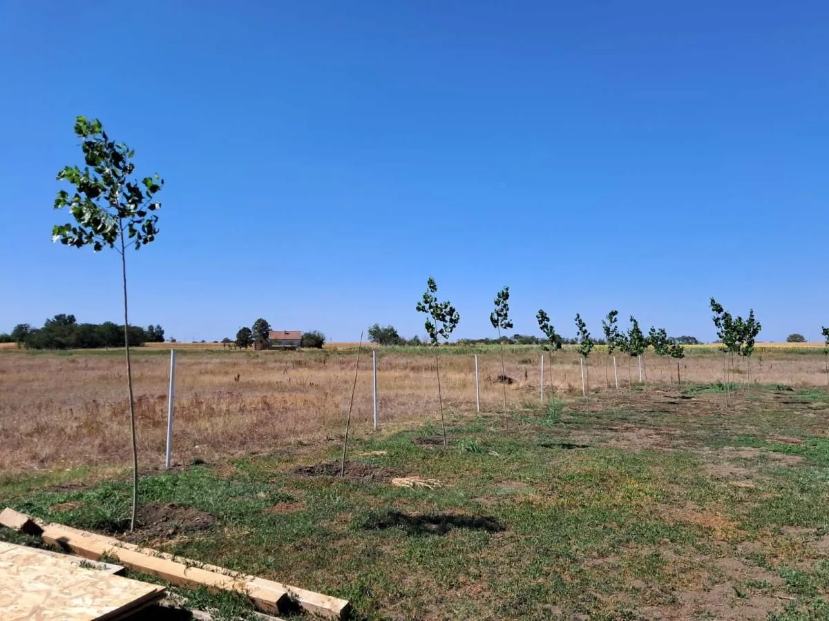 Prodaja, kuća, 35m², Elemir, Zrenjanin
