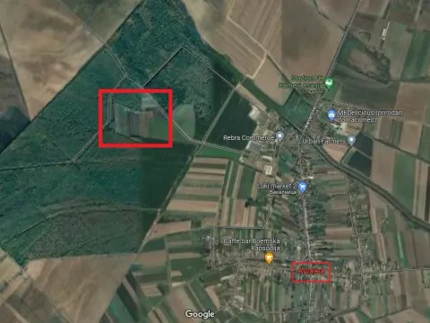 Prodaja, plac, 54200m², Ašanja, Pećinci - image 6