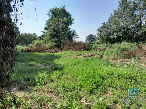 Prodaja, kuća, 200m², Glogovac, Jagodina - image 20