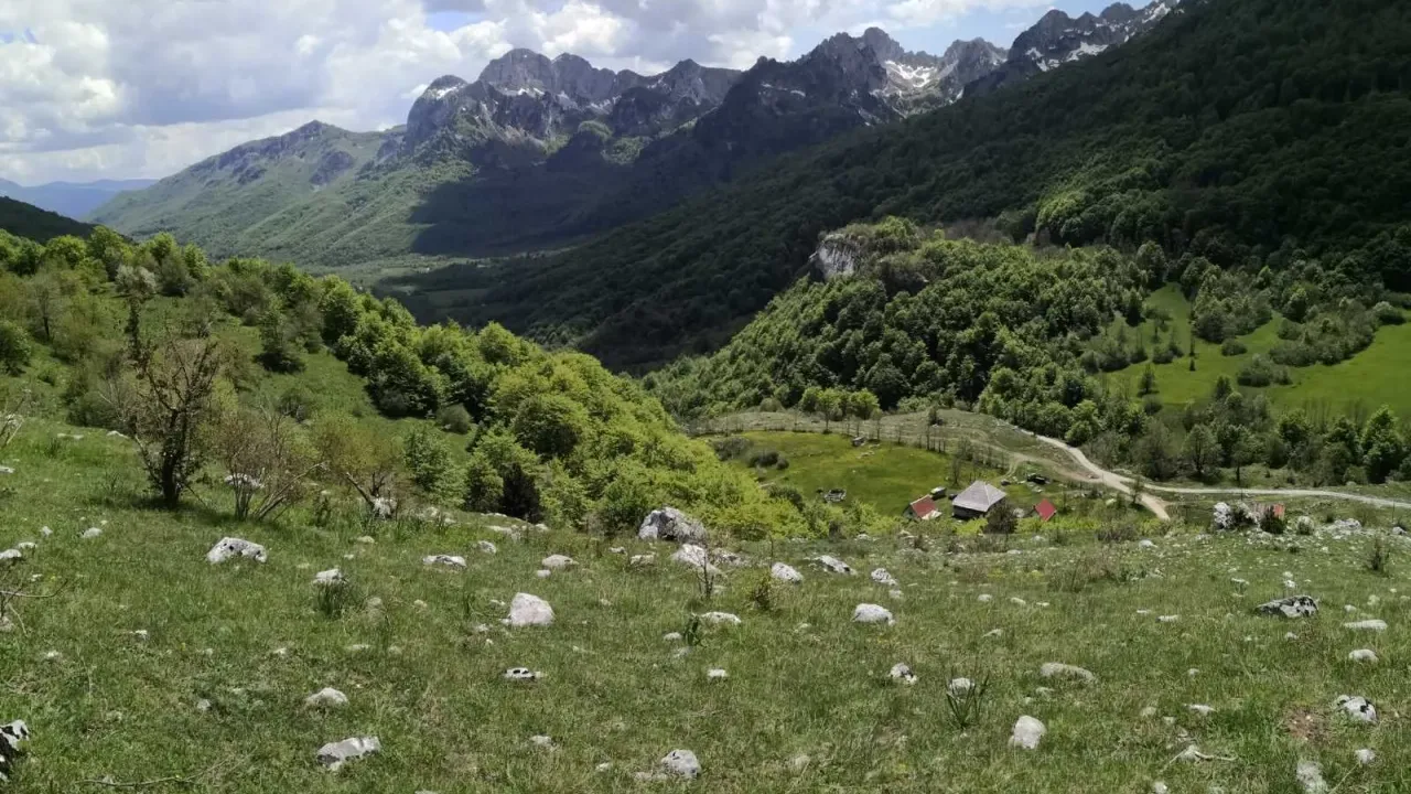 Sale, land lot, 32013m², Gornje Lipovo, Kolašin