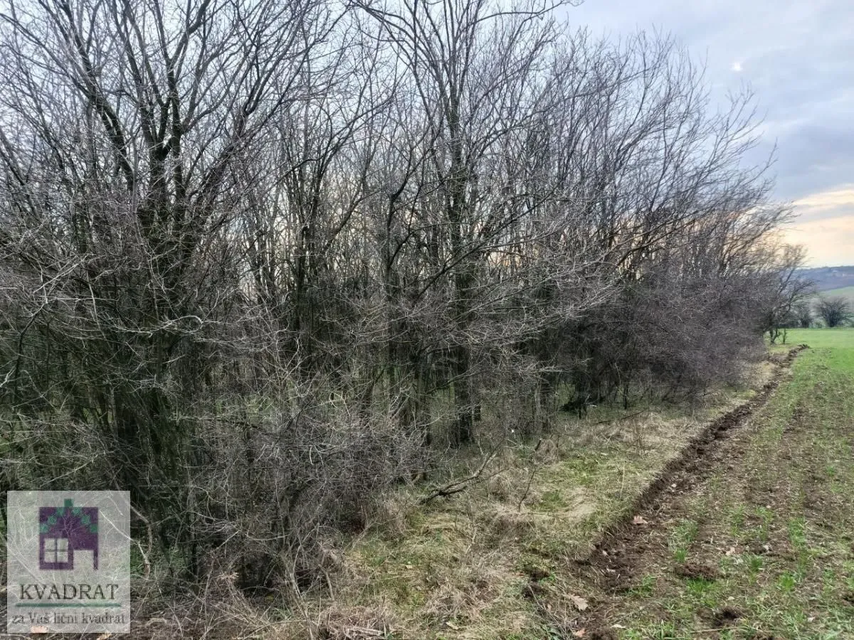 Prodaja, plac, 1000m², Jasenak, Obrenovac