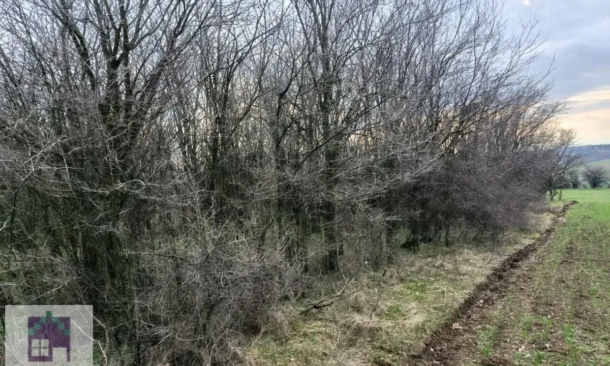 Prodaja, plac, 1000m², Jasenak, Obrenovac