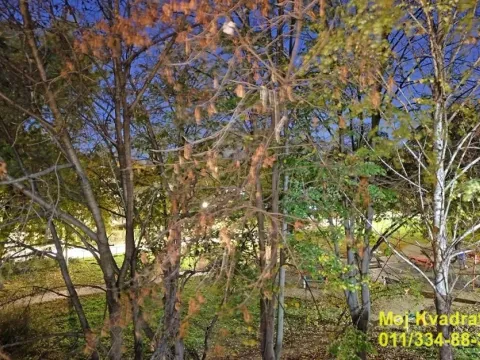 Sale, two bedroom apartment, 59m², Batajnica, Beograd - image 12