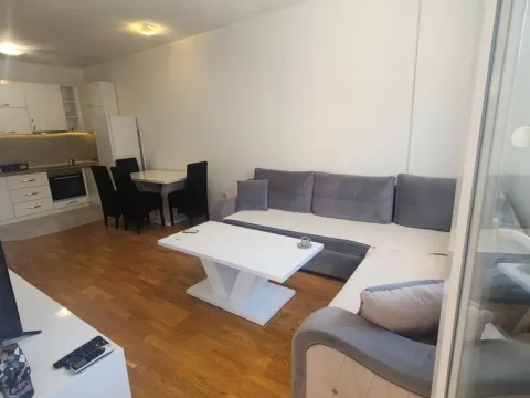 Izdavanje, stan, 43m², Zabjelo, Podgorica - image 3