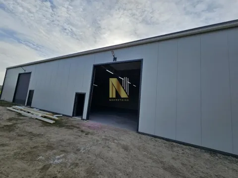 Izdavanje, poslovni prostor, 250m², Novi Sad, Srbija - image 5