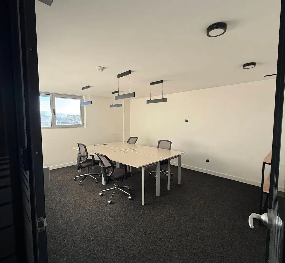 Izdavanje, poslovni prostor, 740m², Zeta, Podgorica