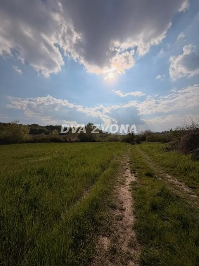 Prodaja, plac, 3500m², Čortanovci, Inđija