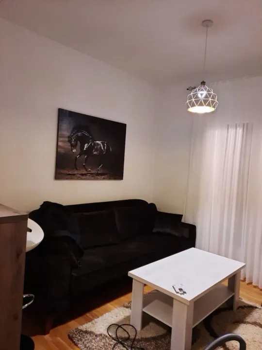 Izdavanje, jednosoban stan, 43m², Zabjelo, Podgorica