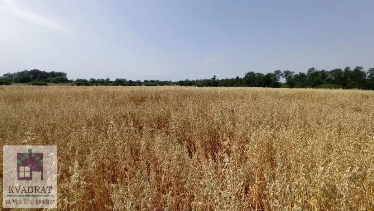 Sale, land lot, 9000m², Konatice, Obrenovac