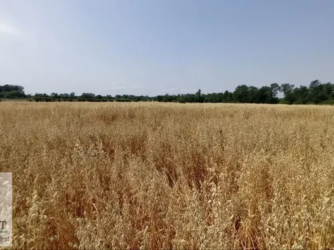 Prodaja, zemljište, 90m2, Konatice, Obrenovac, Beograd Prodaja, zemljište, 90m2, Konatice, Obrenovac, Beograd