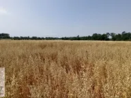 Prodaja, plac, 90m², Konatice, Obrenovac - image 1