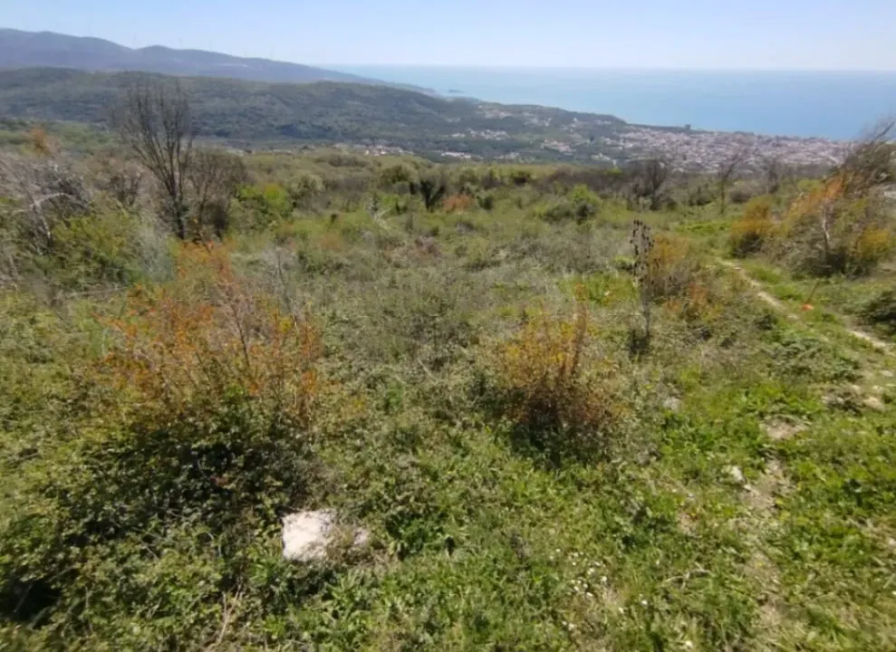 Prodaja, plac, 728m², Pečurice, Bar