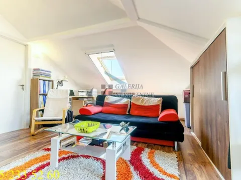 Sale, two bedroom apartment, 40m², Južni Bulevar, Vračar Sve Podlokacije - image 2