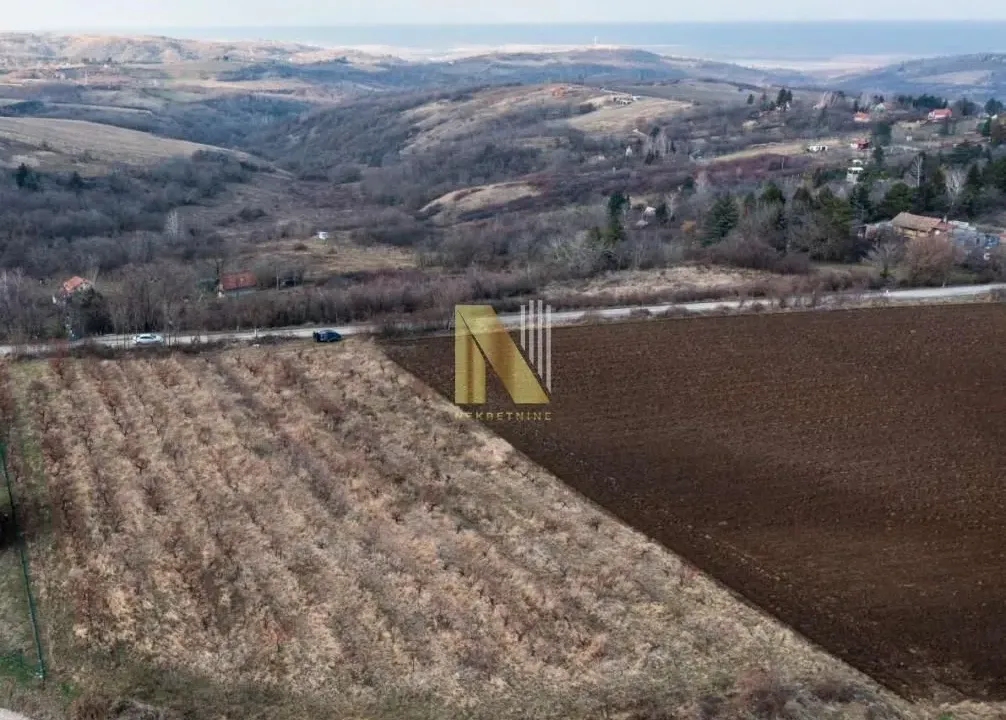 Sale, land lot, 5000m², Sremska Kamenica, Petrovaradin