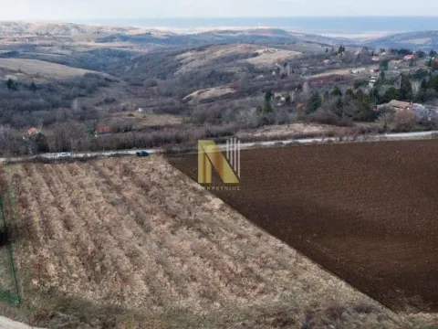 Prodaja, plac, 5000m², Sremska Kamenica, Petrovaradin - image 1