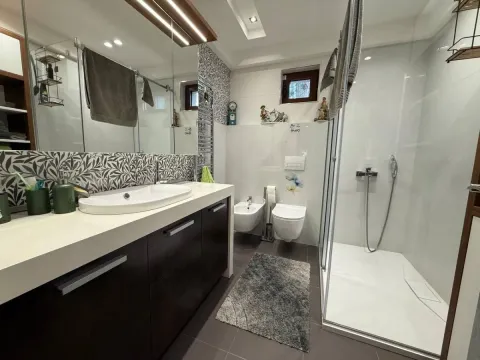 Prodaja, kuća, 318m², Petrovaradin, Novi Sad - image 49