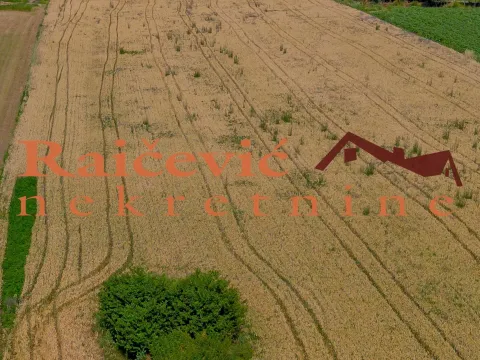 Prodaja, plac, 16400m², Mladenovac, Beograd - image 9