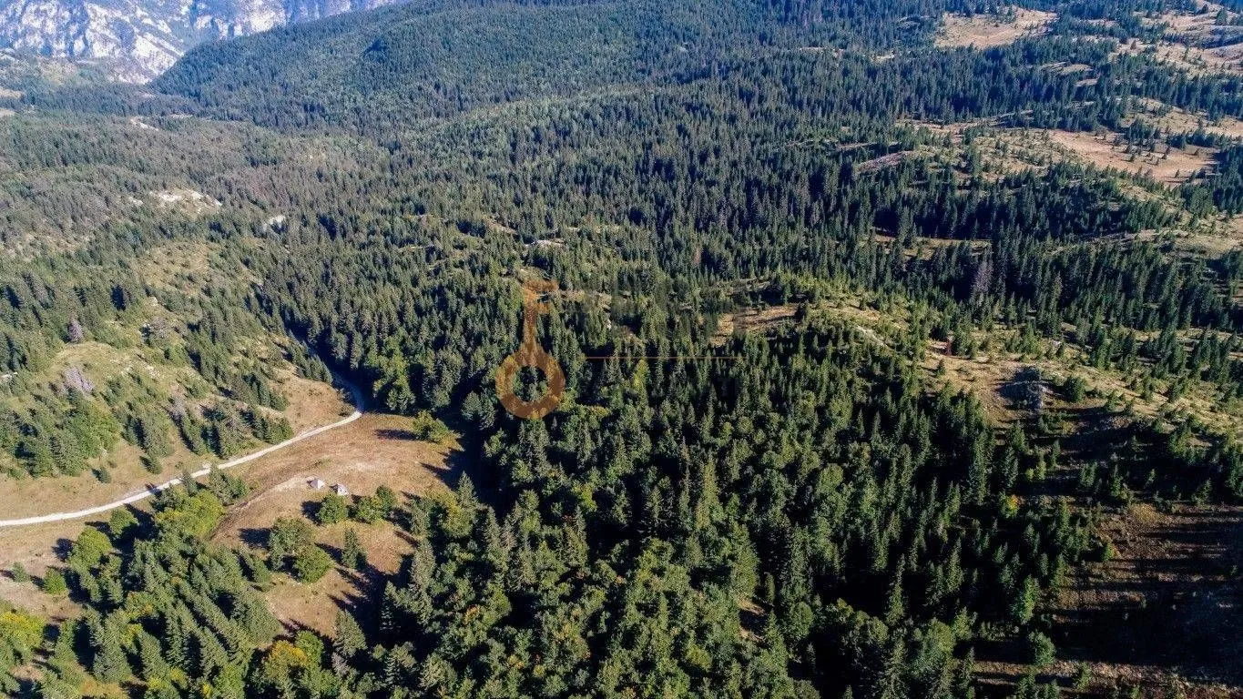 Prodaja, plac, 184880m², Žabljak, Crna Gora