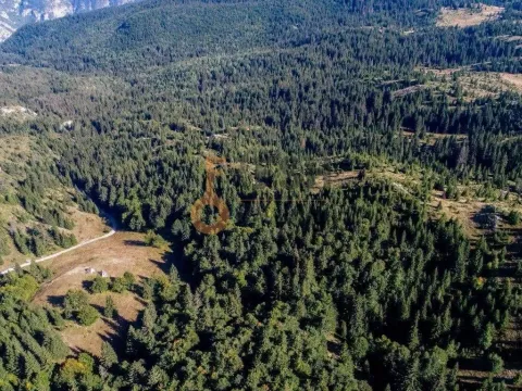 Prodaja, plac, 184880m², Žabljak, Crna Gora - image 11