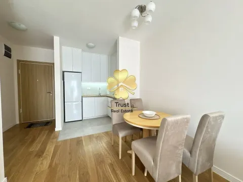 Rent, one bedroom apartment, 43m², Central Point, Podgorica - image 4
