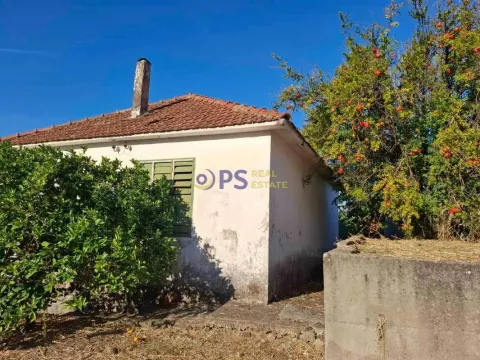 Spoljašnji izgled starije prizemne kuće sa dvorištem i zelenilom. - image 7