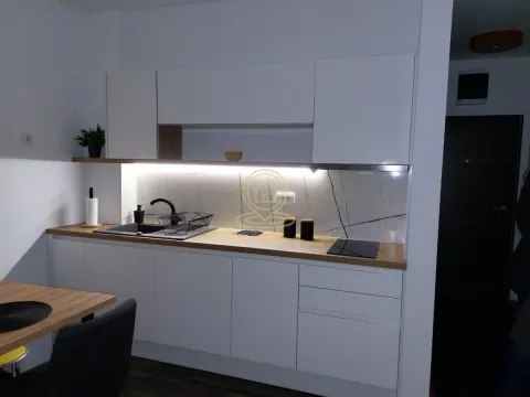 Rent, one bedroom apartment, 25m², Autokomanda, Voždovac Sve Podlokacije - image 8