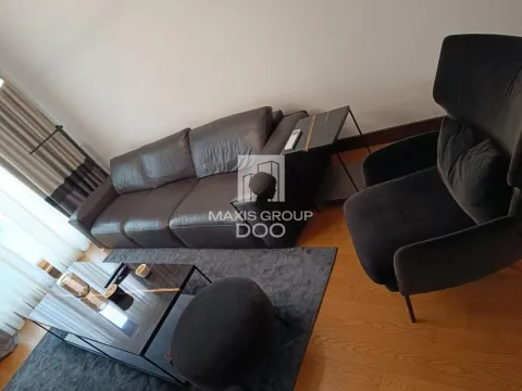 Izdavanje, dvosoban stan, 52m², Palata Pravde, Beograd - image 12