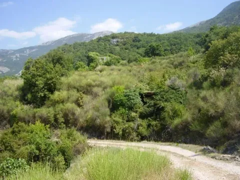 Prodaja, plac, 6800m², Sveti Stefan, Budva - image 2