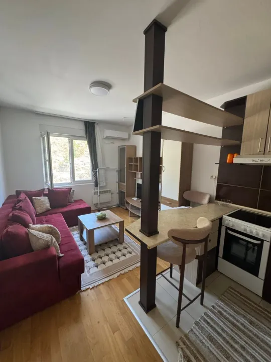 Rent, one bedroom apartment, 34m², Zabjelo, Podgorica