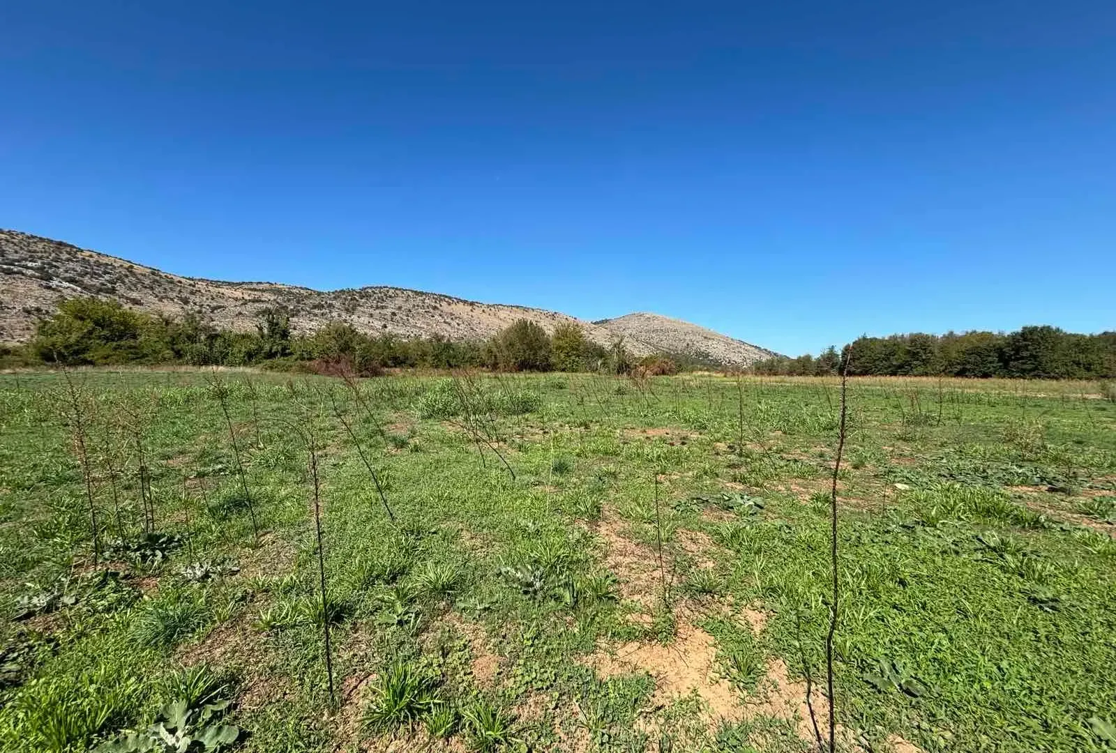 Prodaja, plac, 9569m², Botun, Podgorica