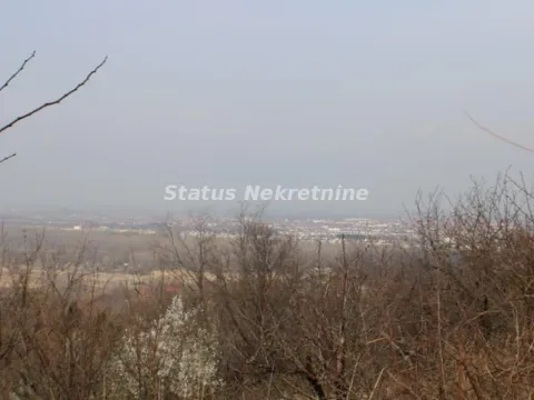 Sale, land lot, 3000m², Ledinci, Petrovaradin - image 13