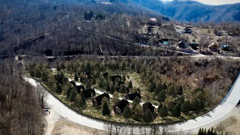 Vazdušni pogled na vikend naselje u prirodi sa šumom i putem. - image 4