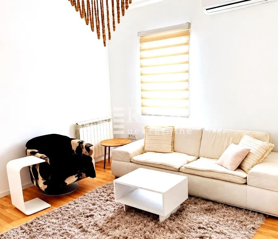 Bright living room with a sofa, armchair, and rug.