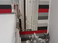 Izdavanje, četvorosoban stan, 120m², Centar, Novi Sad - image 10