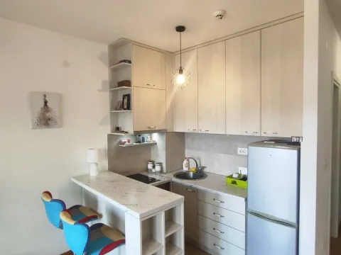 Rent, studio apartment, 27m², Zagorič, Podgorica - image 4