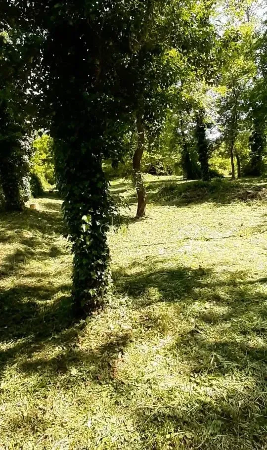 Prodaja, plac, 790m², Kotor, Crna Gora