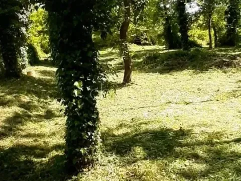 Prodaja, plac, 790m², Kotor, Crna Gora - image 2