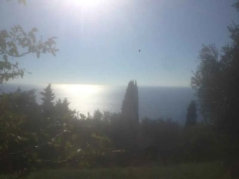 Pogled na more kroz drveće i zelenilo.