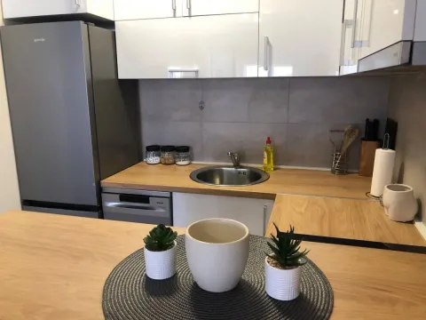 Izdavanje, dvosoban stan, 41m², Salajka, Novi Sad Sve Podlokacije - image 6