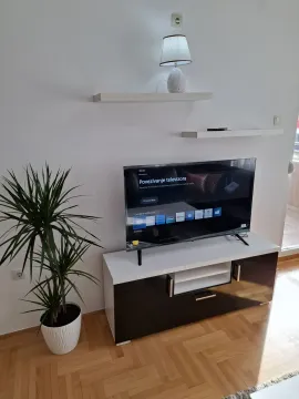 A living room with a modern TV stand and a decorative plant. - image 8