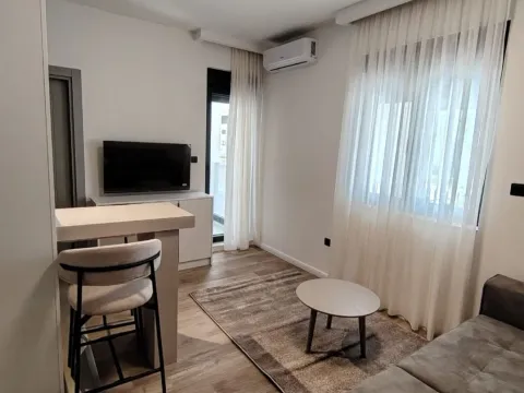 Izdavanje, garsonjera, 18m², Zabjelo, Podgorica - image 3