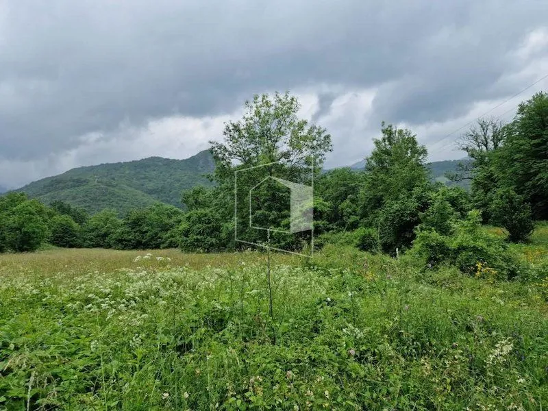 Prodaja, plac, 11112m², Kolašin, Crna Gora