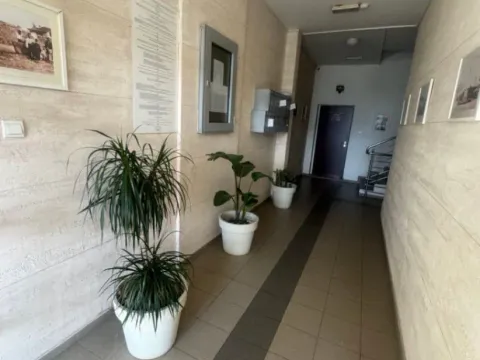 Izdavanje, garsonjera, 25m², Preko Morače, Podgorica - image 2