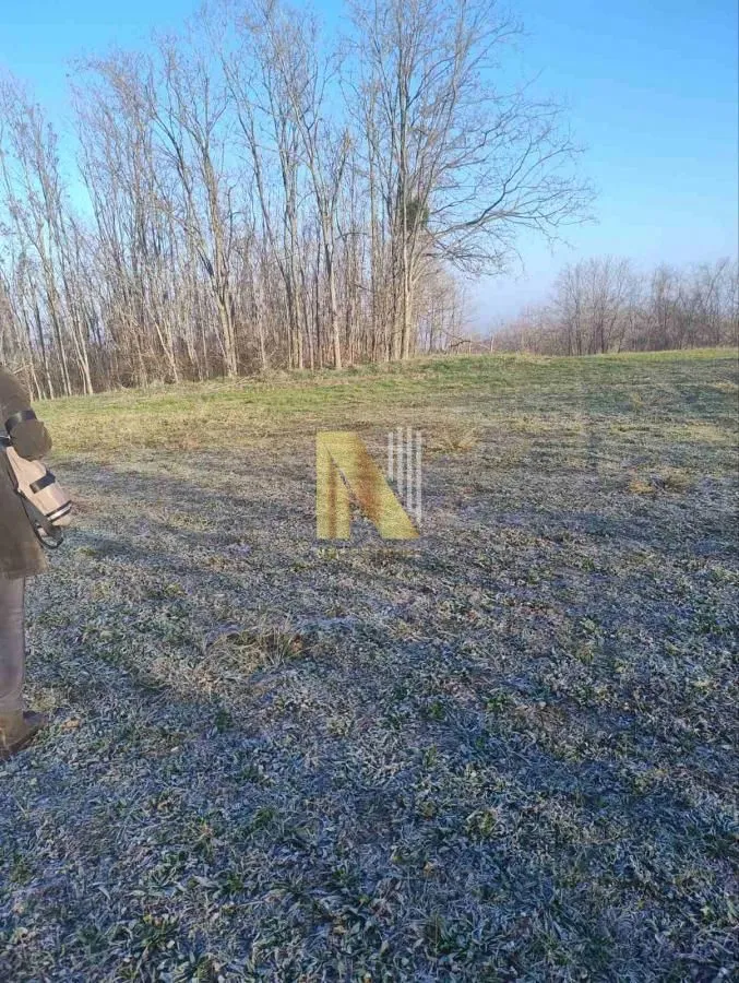 Prodaja, plac, 1900m², Beočin, Srbija